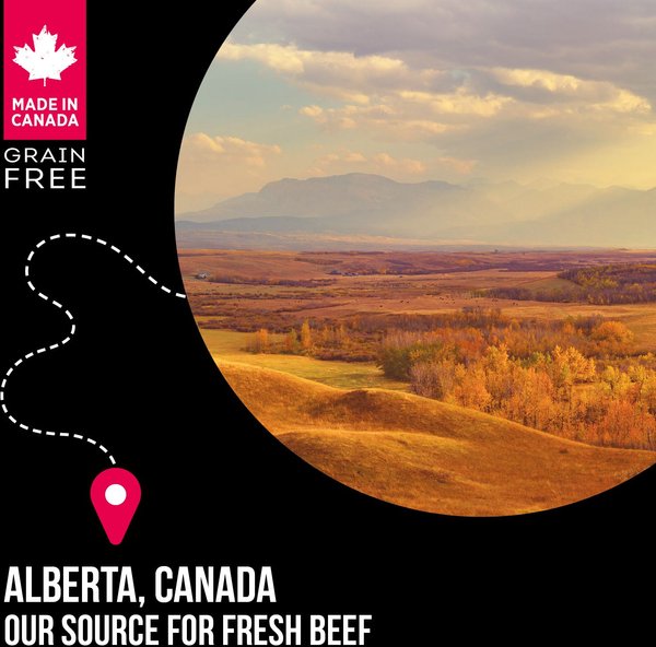 Show full view: Nutrience SubZero Prarie Red Large Breed Grain-Free Dry Dog Food, 10-kg bag slide 6 of 10