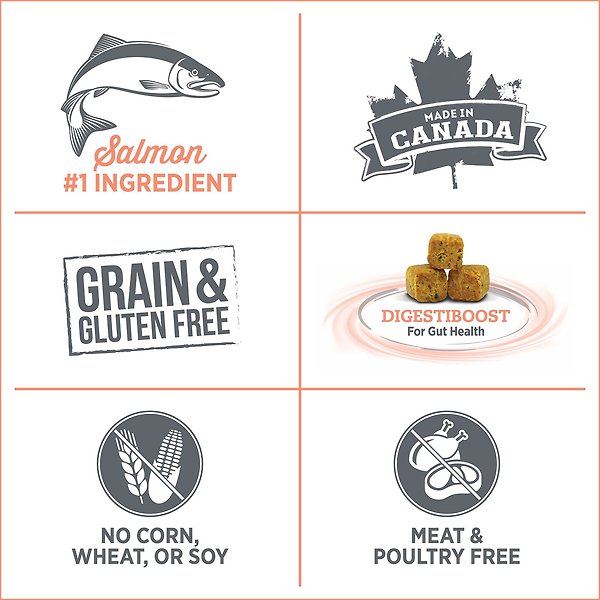 Show full view: Nutrience Care Cat Sensitive Skin & Stomach Dry Cat Food, 2.27-kg bag  slide 5 of 6