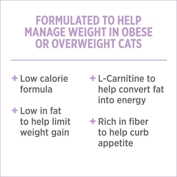 Show full view: Nutrience Care Cat Weight Management Dry Cat Food, 5-kg bag slide 4 of 6