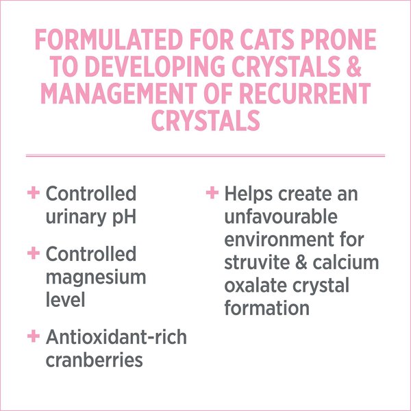 Show full view: Nutrience Care Cat Urinary Health Dry Cat Food, 5-kg bag slide 4 of 5