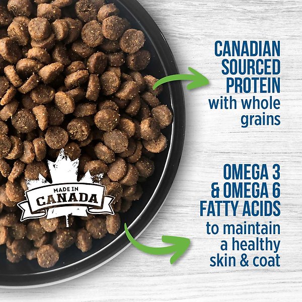 Show full view: Nutrience Original Healthy Kitten Chicken Meal with Brown Rice Recipe Dry Cat Food, 2.5-kg bag slide 4 of 6