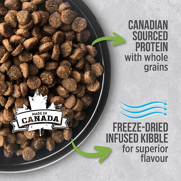 Show full view: Nutrience Infusion Healthy Kitten Chicken Dry Cat Food, 2.27-kg bag slide 3 of 8