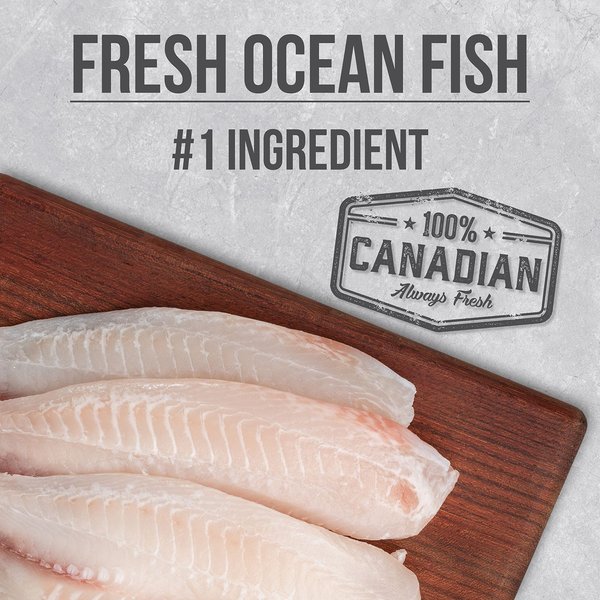 Show full view: Nutrience Infusion Adult Indoor Cat Ocean Fish Dry Cat Food, 2.27-kg bag slide 7 of 8