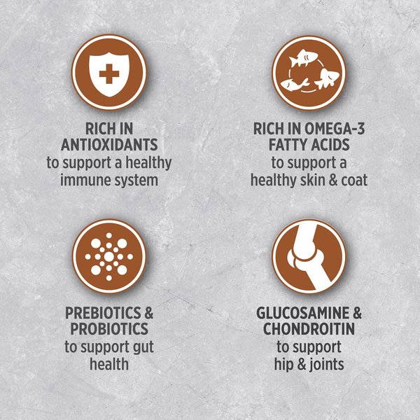 Show full view: Nutrience Infusion Healthy Senior Cat Chicken Dry Cat Food, 5-kg bag  slide 8 of 9