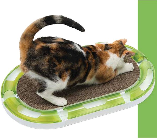 Show full view: Catit Senses 2.0 Oval Circuit Scratcher Cat Toy with Catnip slide 3 of 5