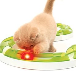 Catit Senses 2.0 Fireball Cat Toy