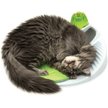 Show in main carousel: Catit Senses 2.0 Wellness Center Cat Toy slide 3 of 7