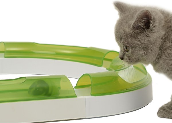 Show full view: Catit Senses 2.0 Play Circuit Cat Toy slide 3 of 5