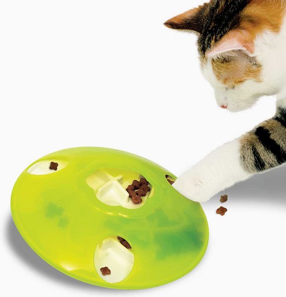 Slow Feeder Cat Bowl Fun Pet Puzzle Feeder Treat Maze Toy Cat