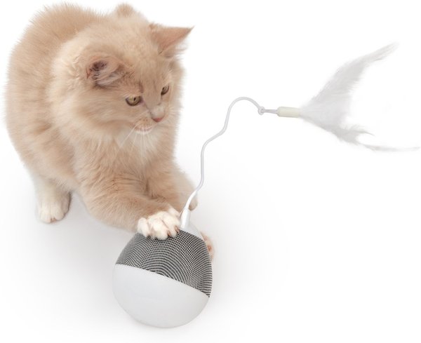 Show full view: Catit PIXI Spinner Electronic Cat Toy, Grey slide 3 of 7
