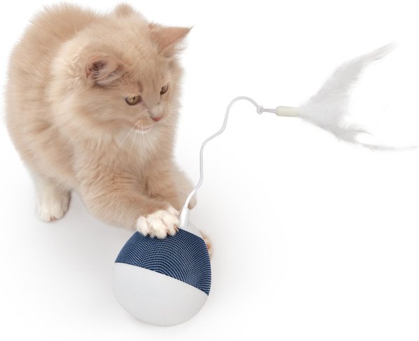 Show full view: Catit PIXI Spinner Electronic Cat Toy, Blue slide 3 of 7