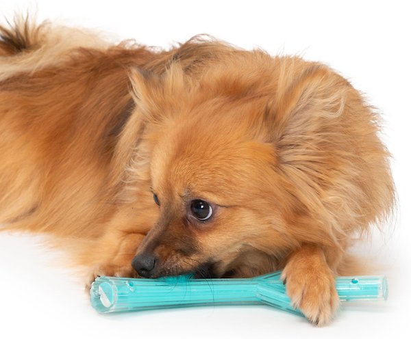 Show full view: Zeus Chicken Scent Duo Stick Dog Toy slide 3 of 6