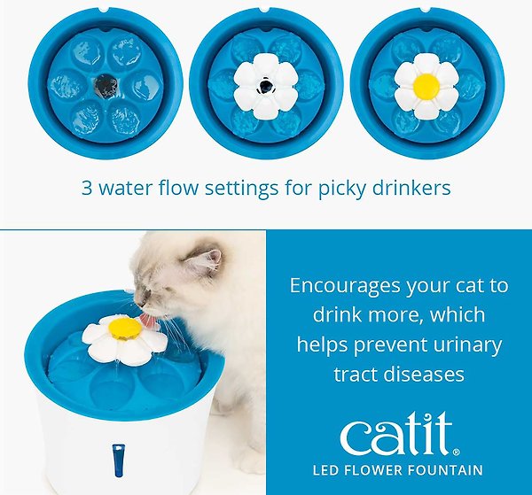 Show full view: Catit LED Flower Cat Fountain, 3-L slide 5 of 7
