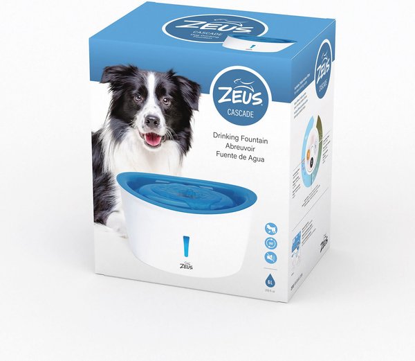 Chewy pet clearance fountain