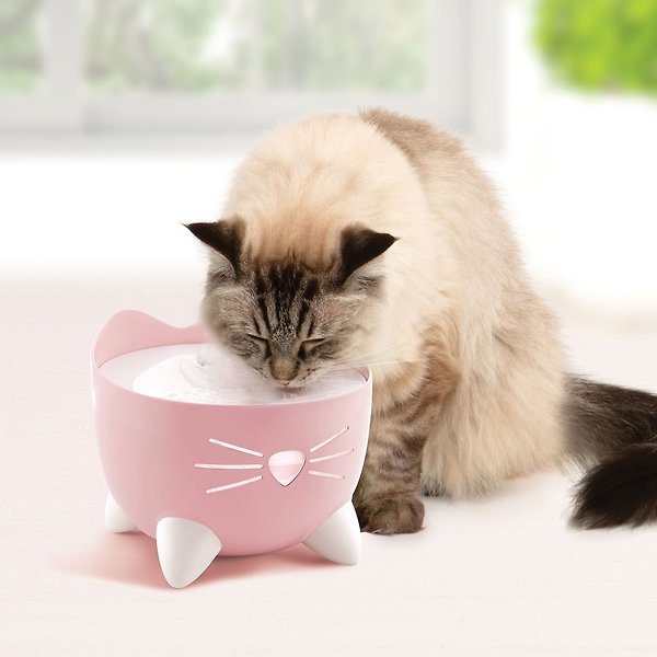 Show full view: Catit PIXI Cat Fountain, 2.5-L, Pink slide 4 of 10