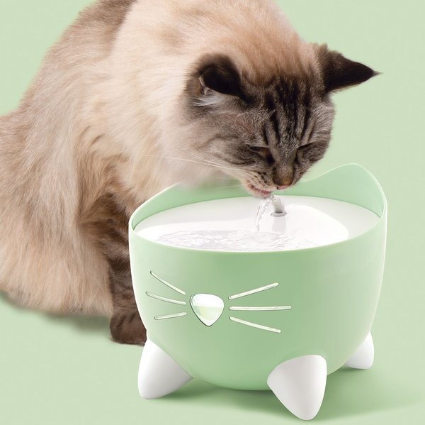 Show full view: Catit PIXI Cat Fountain, 2.5-L, Green slide 8 of 10