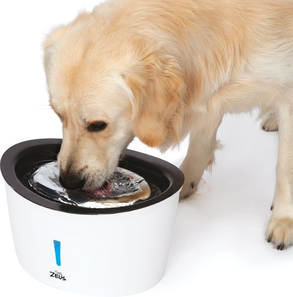 Show full view: Zeus Cascade Stainless Steel Top Cat Fountain, 6-L slide 4 of 10