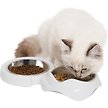 Show in main carousel: Catit PIXI Double Stainless Steel Cat Bowl, 200-ml slide 3 of 5