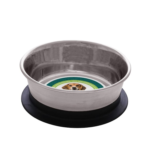 DOGIT Stainless Steel StayGrip Dog Bowl, 450ml Chewy Canada