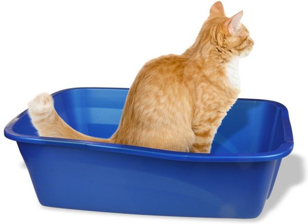 Show full view: Van Ness Cat Litter Box, Giant slide 4 of 6