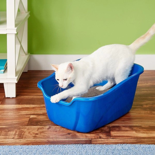 Show full view: Van Ness High Side Cat Litter Box, Large slide 4 of 5