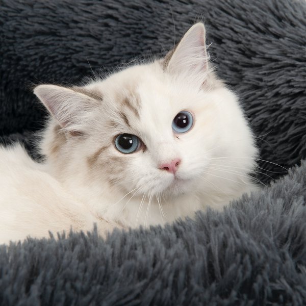 Show full view: Catit Fluffy Bolster Cat Bed, Grey slide 3 of 3