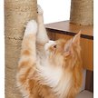 Show in main carousel: Catit Vesper High Base 133-cm Cat Tree slide 6 of 8