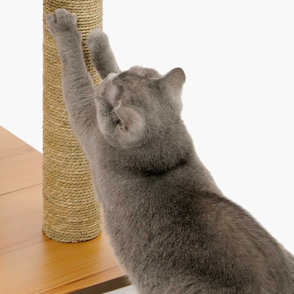 Show full view: Catit Vesper High Base 158-cm Cat Tree slide 7 of 9