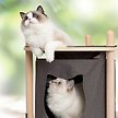 Show in main carousel: Catit Vesper Treehouse 86.5-cm Cat Tree slide 5 of 9