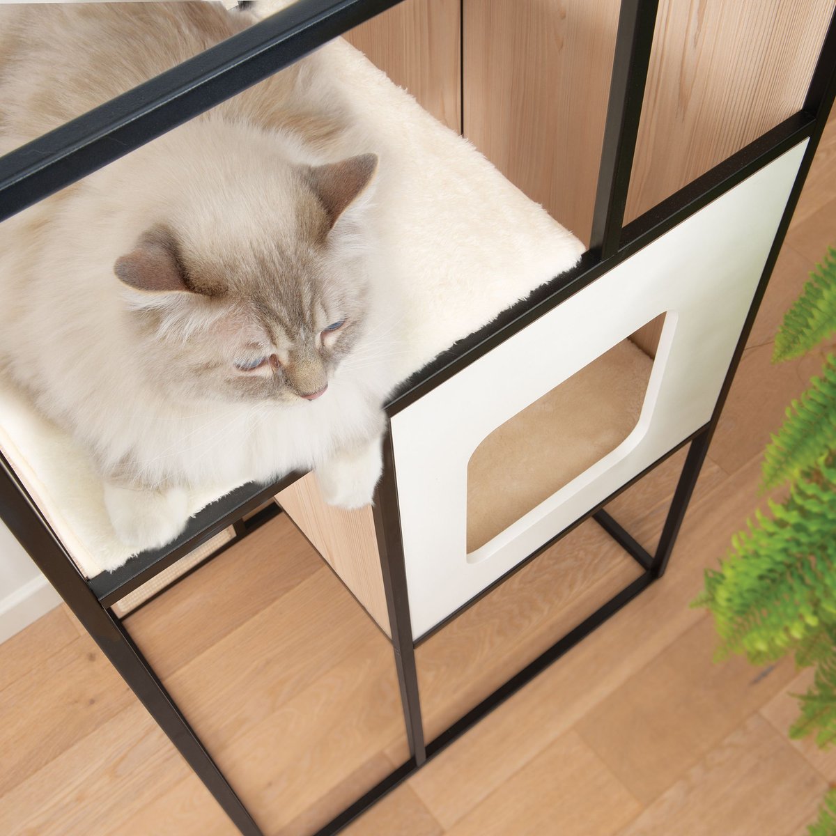 Vesper v clearance double cat tree