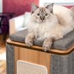 Show in main carousel: Catit Vesper Cubo Tower 87-cm Cat Tree & Condo slide 5 of 7