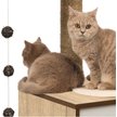 Show in main carousel: Catit Vesper High Base 122-cm Cat Tree, Oak slide 4 of 6