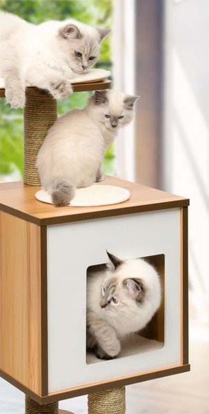 Show full view: Catit Vesper High Base 122-cm Cat Tree, Walnut slide 6 of 8