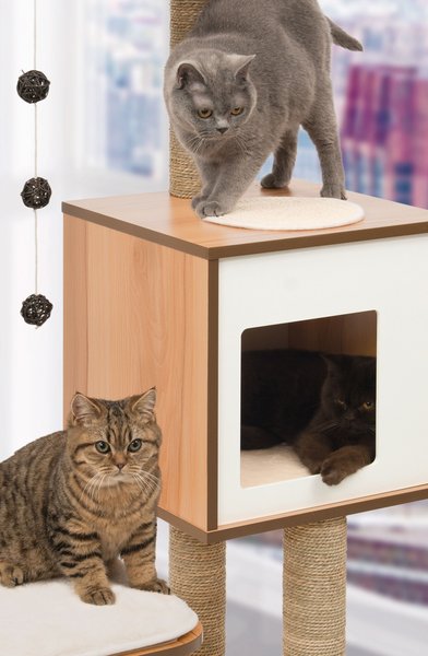 Show full view: Catit Vesper High Base 122-cm Cat Tree, Walnut slide 7 of 8