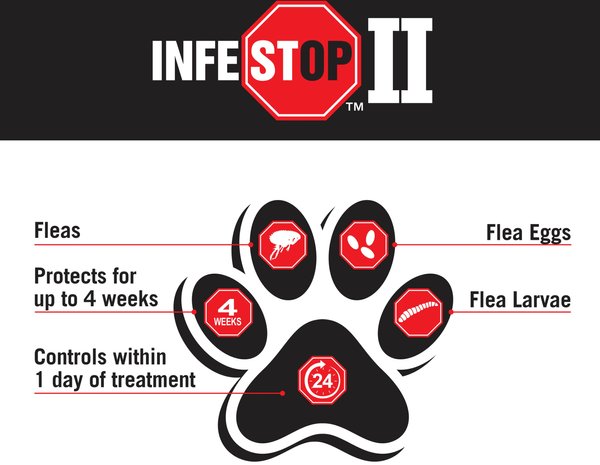 Show full view: Zodiac Infestop II Flea Topical Solution for Cats, Under 4 kg slide 6 of 9