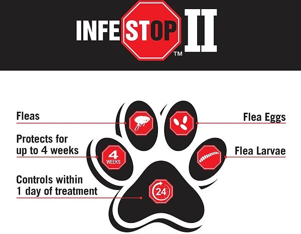 Show full view: Zodiac Infestop II Flea Topical Solution for Cats, Over 4 kg slide 6 of 10