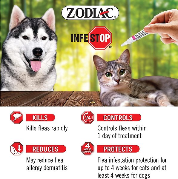 Show full view: Zodiac Infestop II Flea Topical Solution for Dogs, 11-25 kg slide 3 of 4