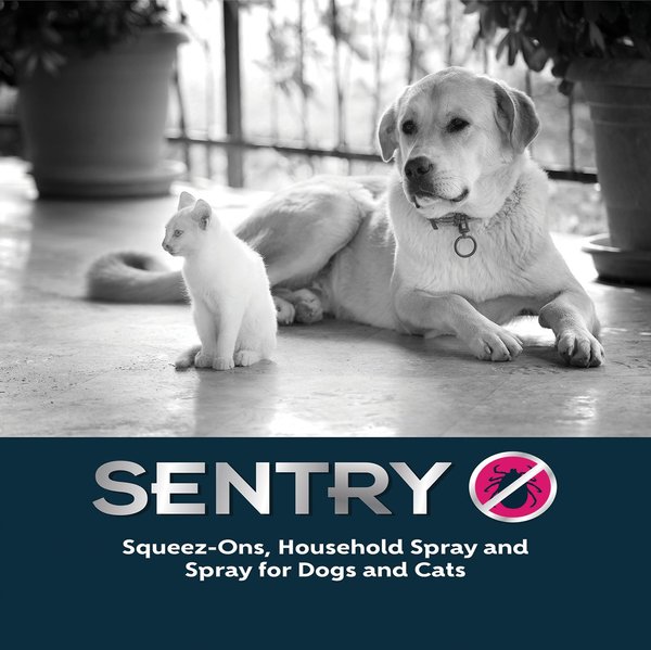 Show full view: Sentry Squeez-On Flea Tick & Mosquito Treatment for Dogs, Over 30 kg slide 5 of 6