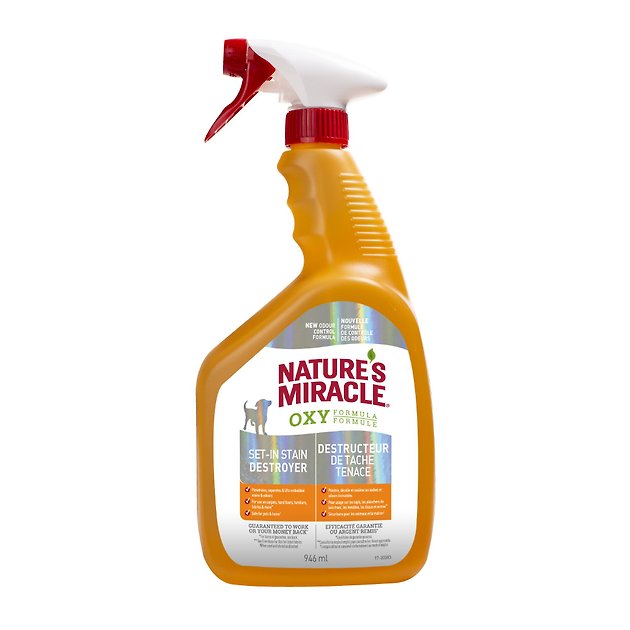 NATURE'S MIRACLE Dog Stain & Odor Remover Oxy Spray, 32oz bottle Chewy Canada