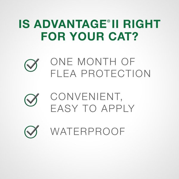 Show full view: Advantage II Flea Treatment for Kittens, 2.3 kg & under, 4 doses slide 5 of 7
