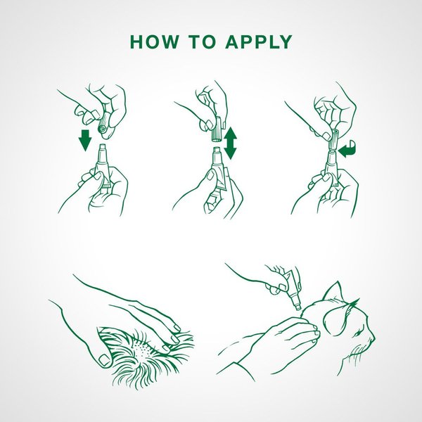 Show full view: Advantage II Flea Treatment for Kittens, 2.3 kg & under, 4 doses slide 6 of 7