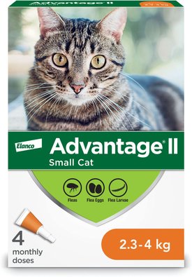 Advantage 11 flea treatment for clearance cats