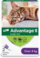Advantage II Flea Protection for Cats, over 4 kg, 2 doses