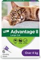 Advantage II Flea Protection for Cats, over 4 kg, 6 doses