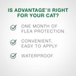 Show in main carousel: Advantage II Flea Protection for Cats, over 4 kg, 6 doses slide 5 of 7
