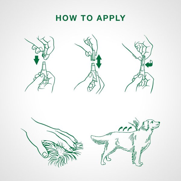 Show full view: Advantage II Flea Treatment for Dogs, 4.5 kg & under, 4 doses slide 6 of 7