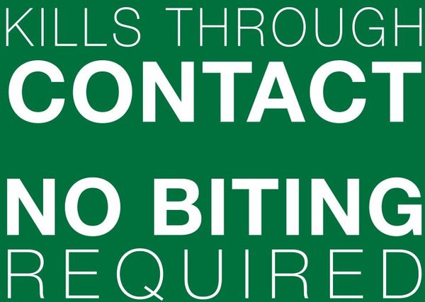 Show full view: Advantage II Flea Treatment for Dogs, 4.6 to 11 kg, 6 doses slide 4 of 7