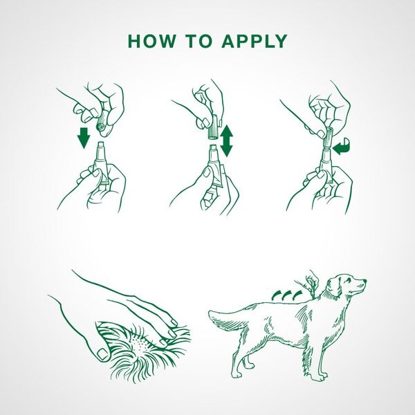 Show full view: Advantage II Flea Treatment for Dogs, over 25 kg, 6 doses slide 6 of 7