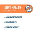 Show in main carousel: Synovi G4 Dog Joint Supplement Chews for Dogs, 60 count slide 2 of 6