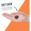Show in main carousel: Synovi G4 Dog Joint Supplement Chews for Dogs, 60 count slide 3 of 6
